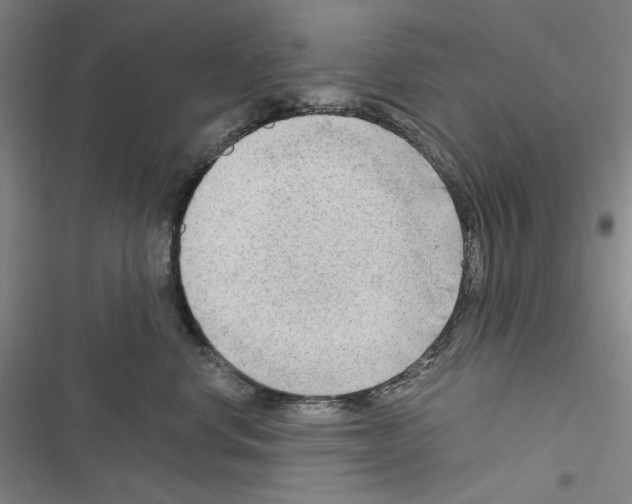 X0000116640668201001251137