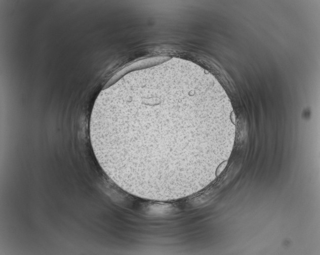 X0000116640669201001251137