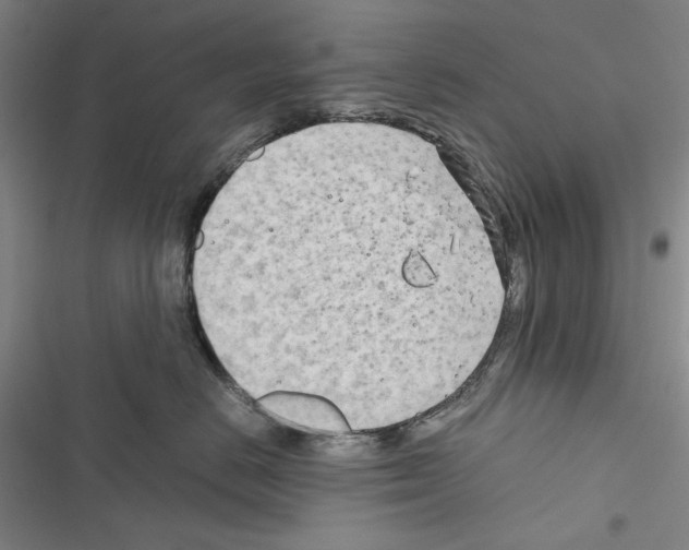 X0000116640670201001251137