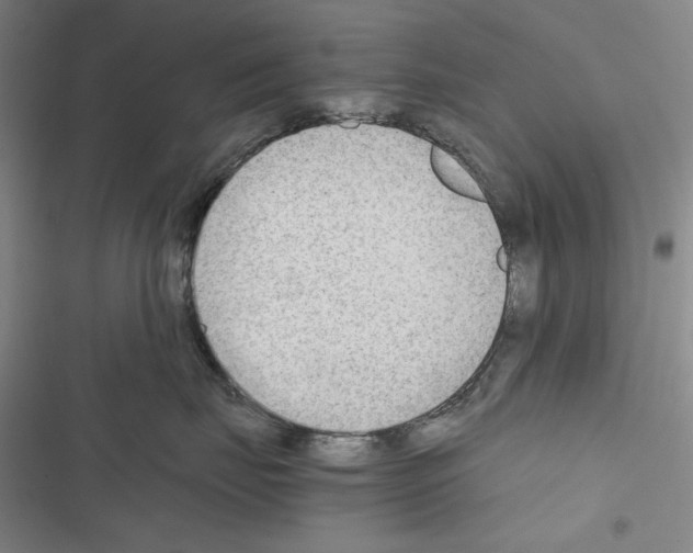 X0000116640671201001251137