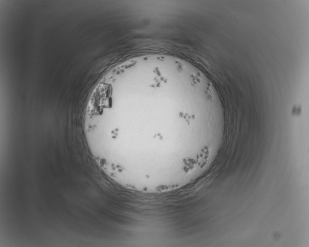 X0000116640672201001251137