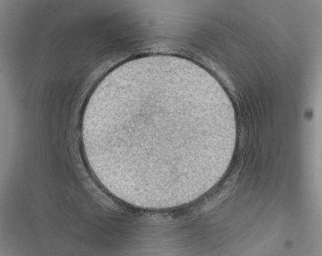 X0000116640673201001251136