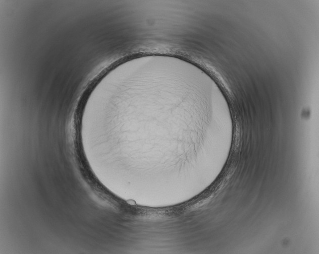 X0000116640674201001251136