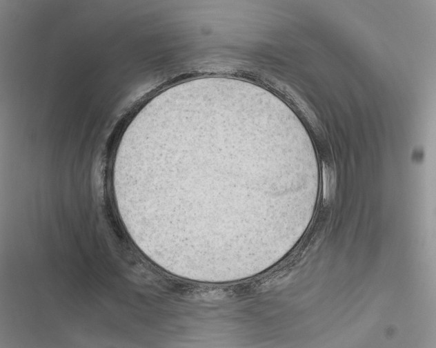 X0000116640675201001251136