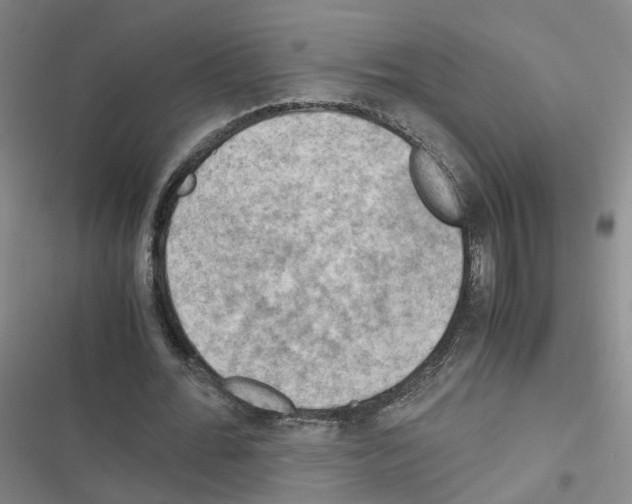 X0000116640676201001251136