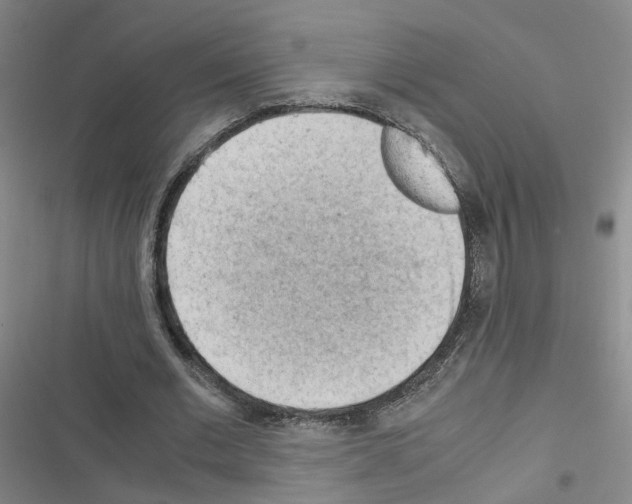 X0000116640677201001251136