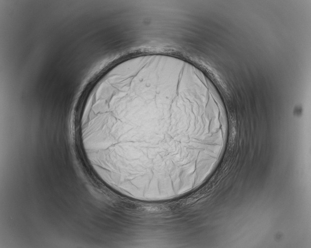 X0000116640678201001251136