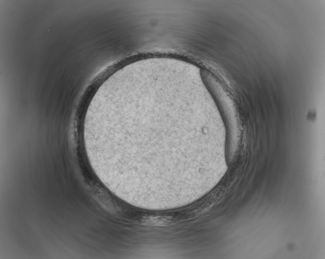 X0000116640680201001251136