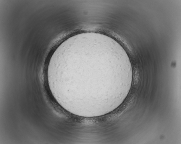 X0000116640682201001251136