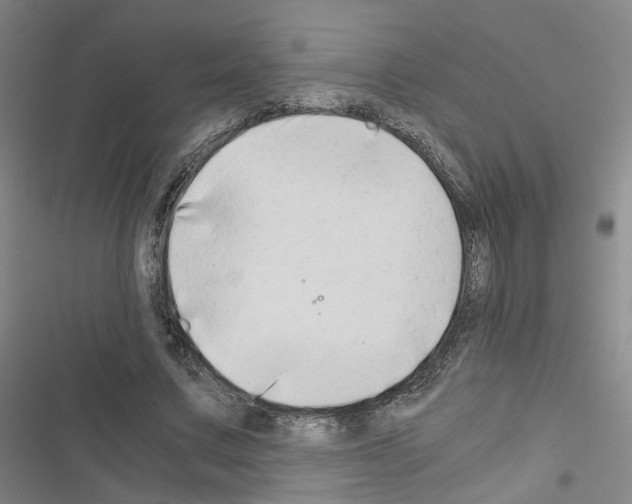 X0000116640683201001251136