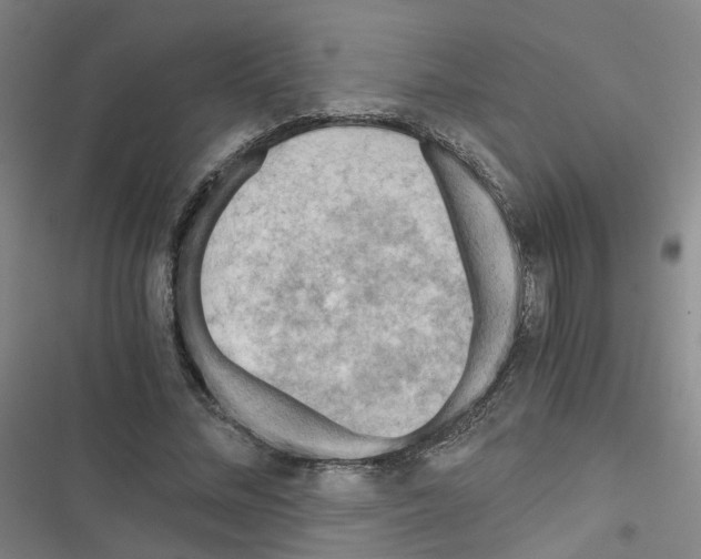 X0000116640684201001251136