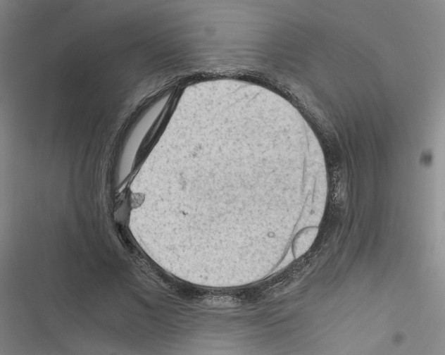 X0000116640685201001251136