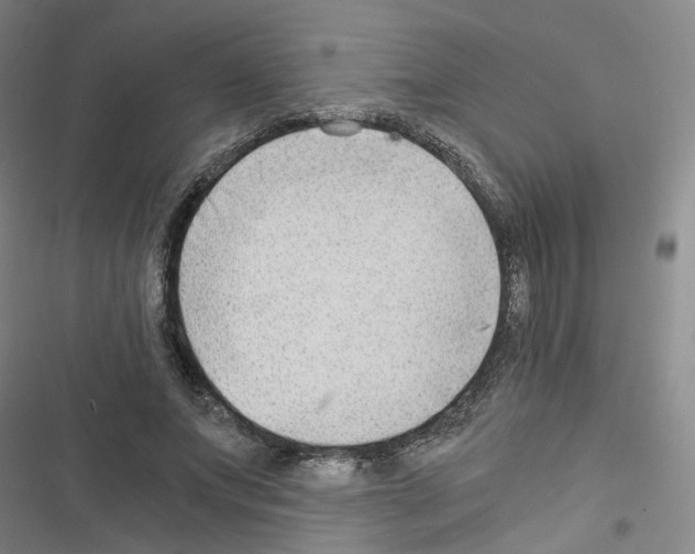 X0000116640687201001251136