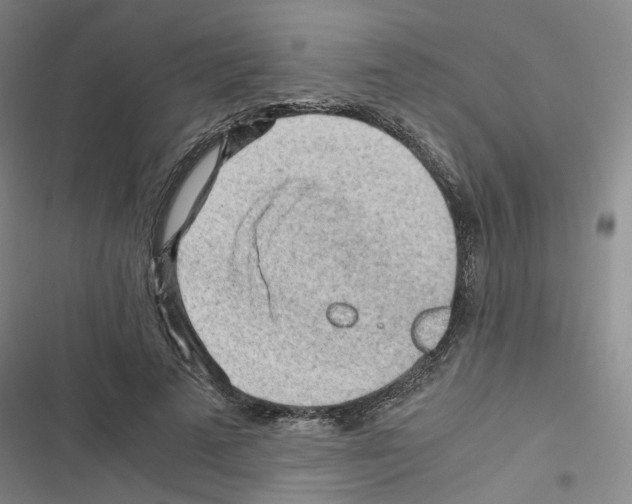 X0000116640689201001251136