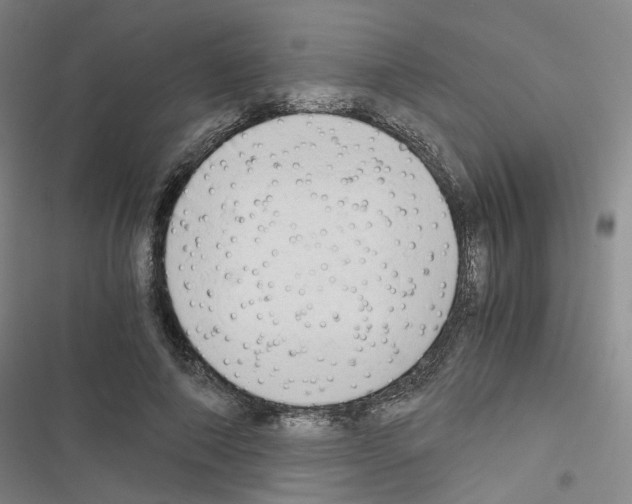 X0000116640690201001251136