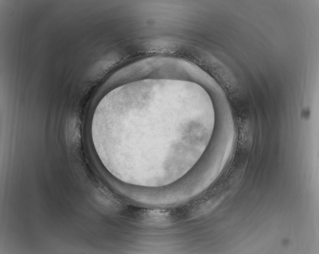 X0000116640692201001251136