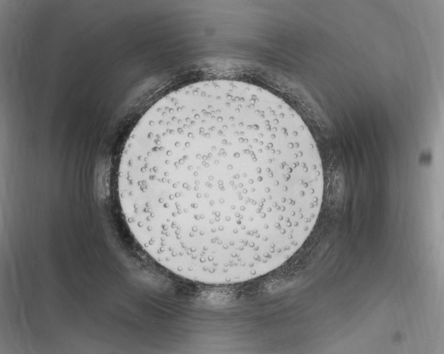 X0000116640694201001251136