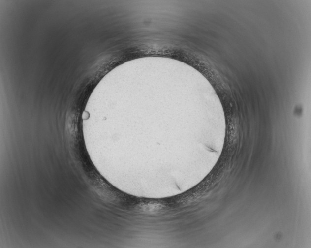 X0000116640695201001251136