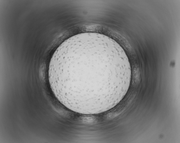 X0000116640698201001251136