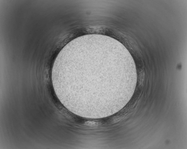 X0000116640699201001251136