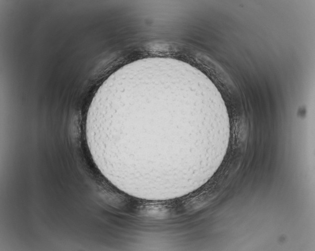 X0000116640702201001251136