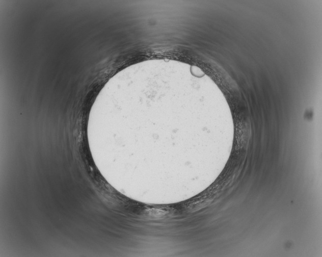 X0000116640703201001251136