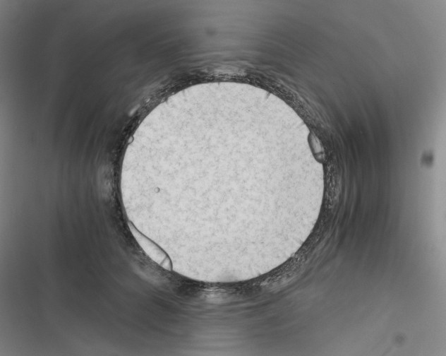 X0000116640704201001251136