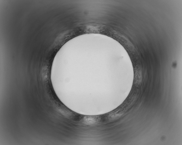 X0000116640706201001251136