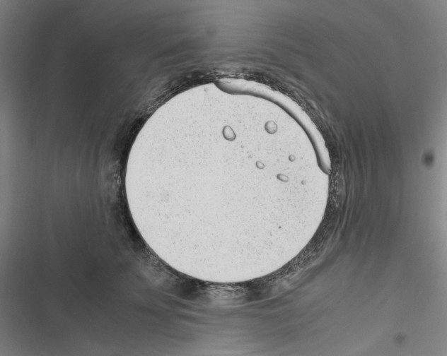 X0000116640707201001251136