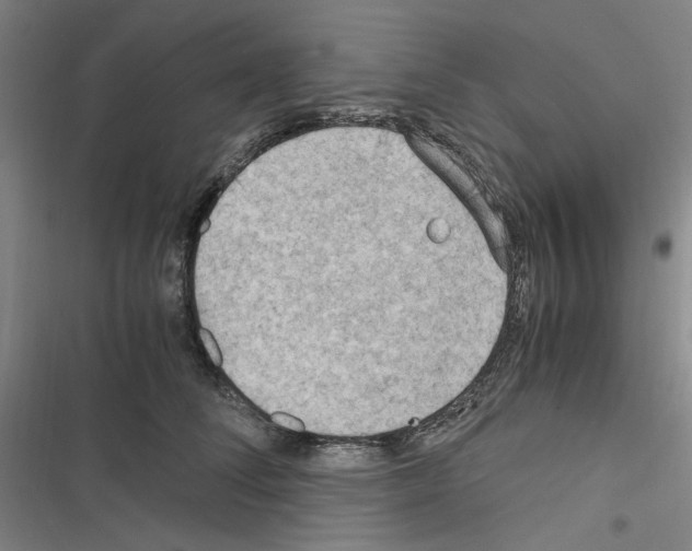 X0000116640708201001251136