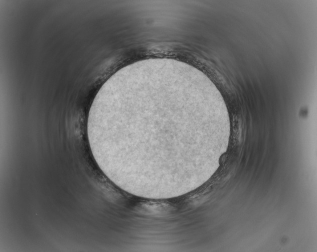 X0000116640712201001251136