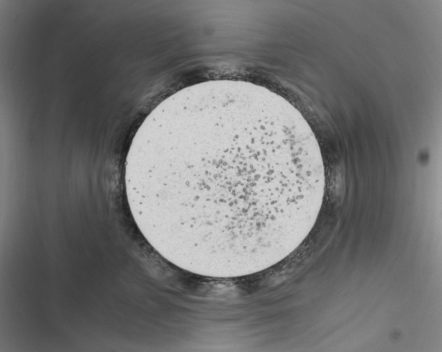 X0000116640715201001251136