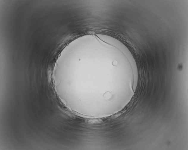 X0000116640716201001251136