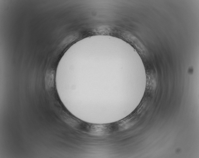 X0000116640717201001251136