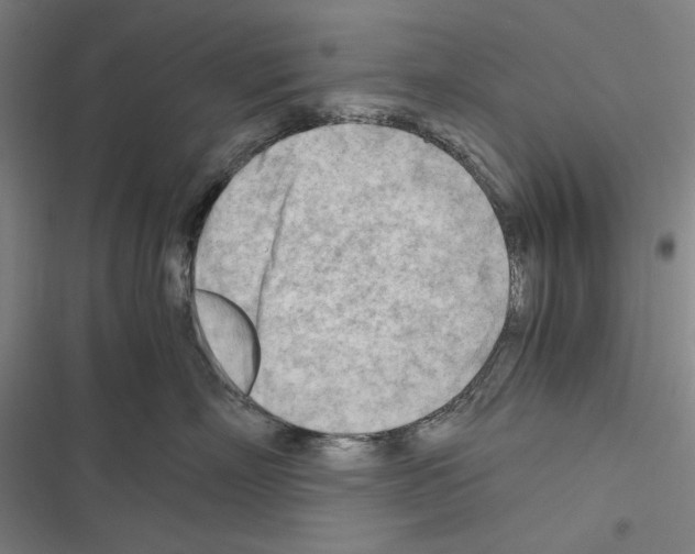 X0000116640718201001251136