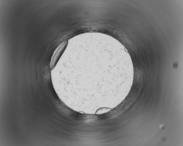 X0000116640719201001251136