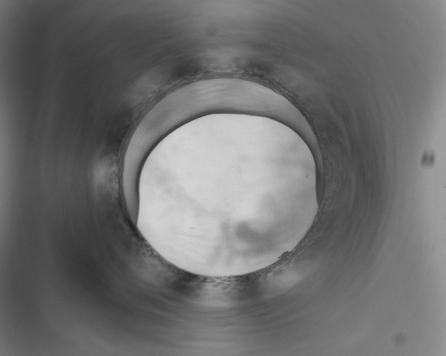 X0000116640720201001251136