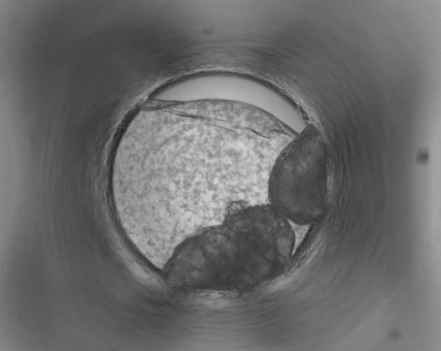 X0000116640721201001251135