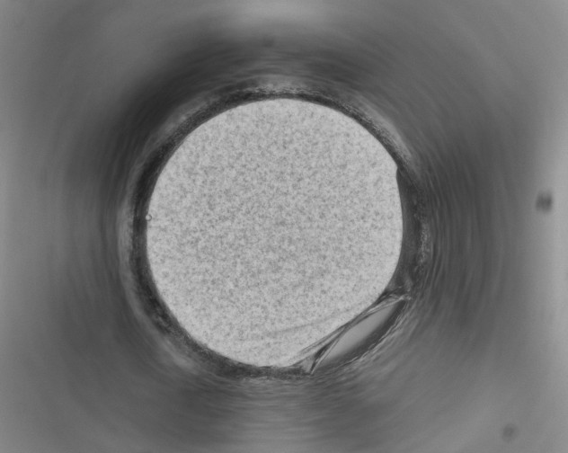 X0000116640722201001251135