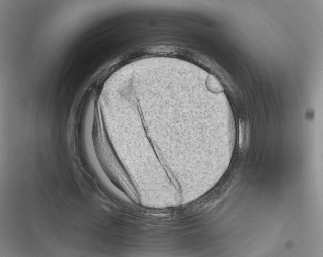 X0000116640723201001251135