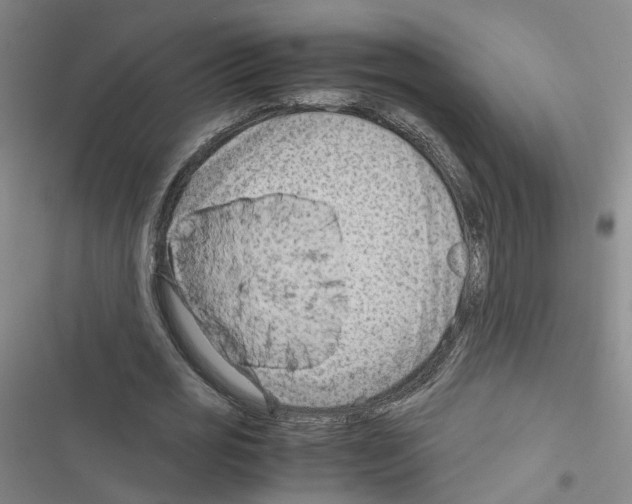 X0000116640725201001251135