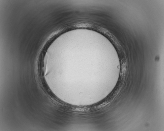 X0000116640727201001251135