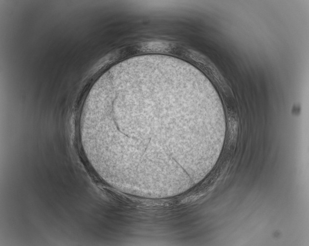 X0000116640729201001251135