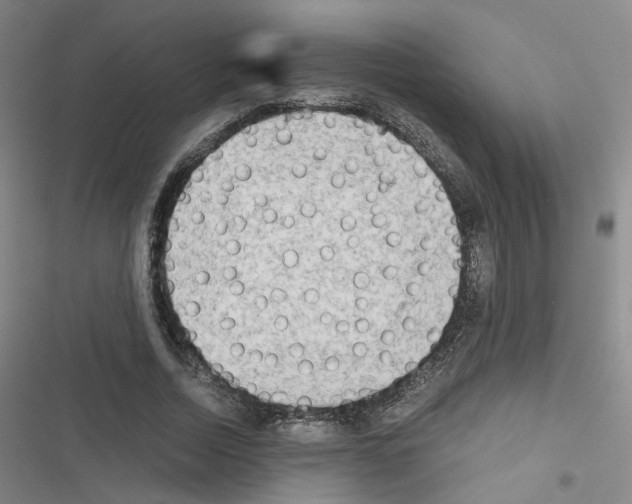 X0000116640730201001251135