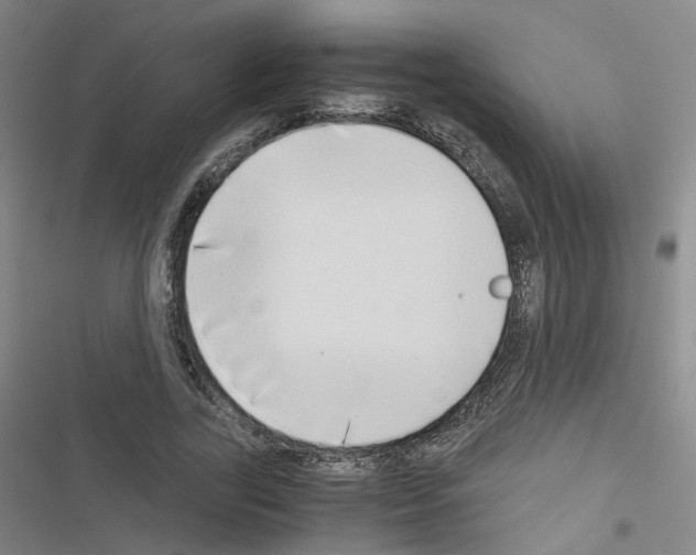 X0000116640731201001251135