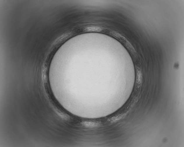 X0000116640733201001251135