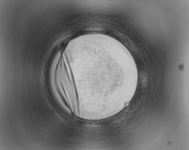 X0000116640735201001251135