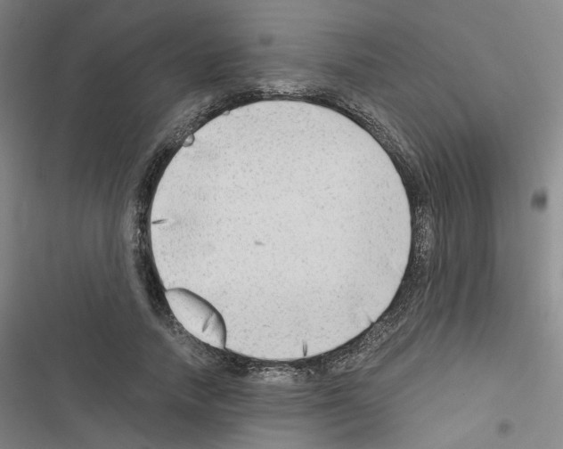 X0000116640738201001251135