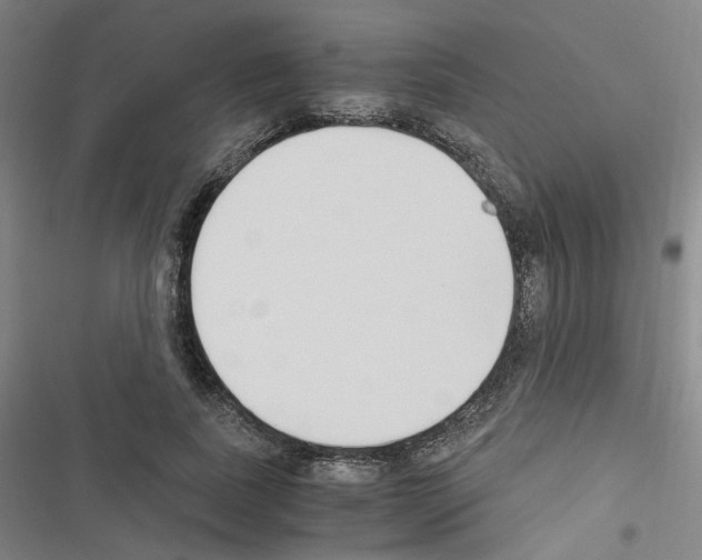 X0000116640739201001251135