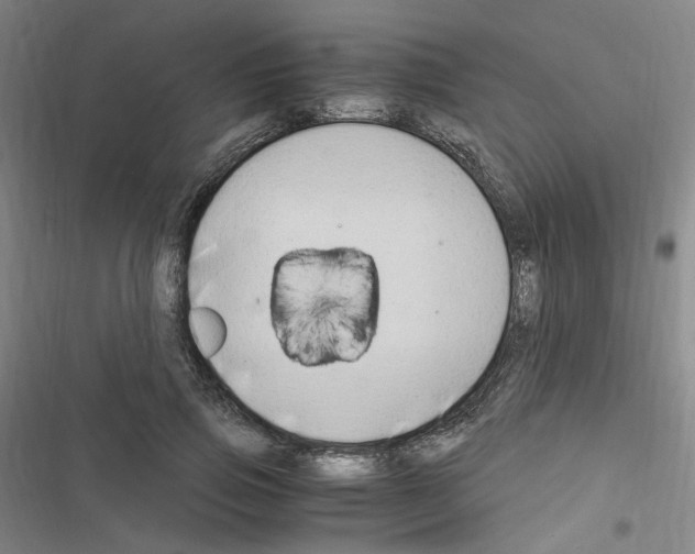 X0000116640741201001251135